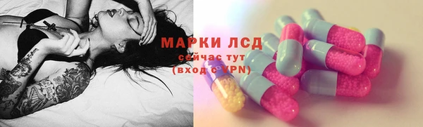 гашик Белокуриха