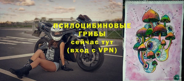 гашик Белокуриха